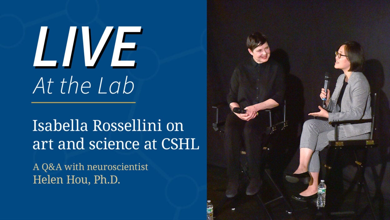 image of At the Lab Isabella Rossellini on art and science at CSHL