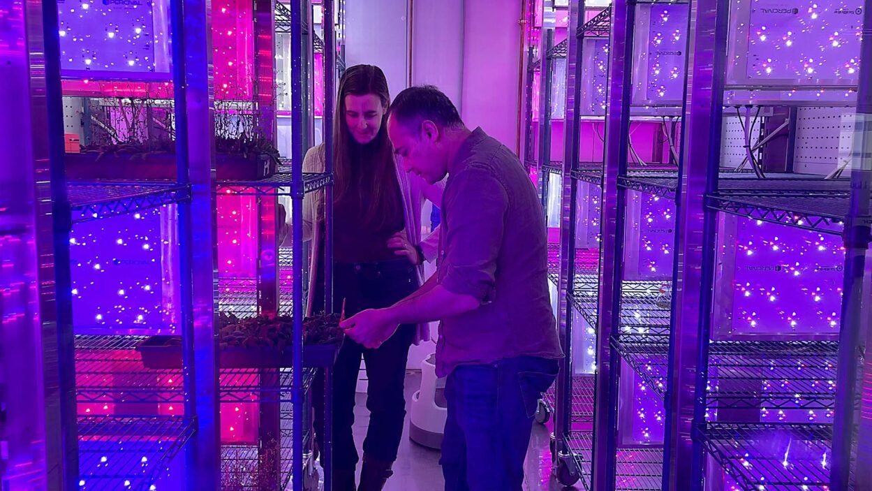 image of Ullas Pedmale and Julie Micko in plant growth chamber