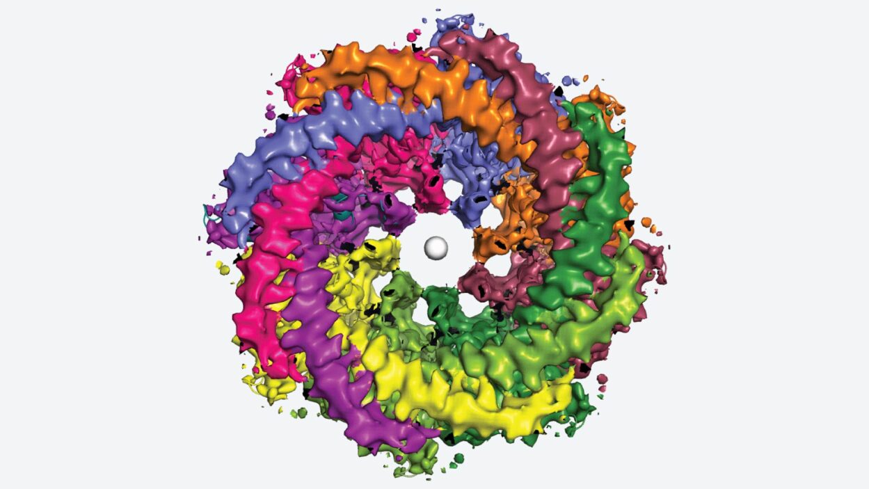 Cryo-electron microscopy image of a human CALHM1 channel