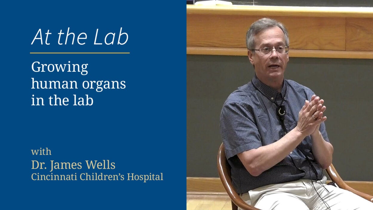 Growing human organs in the lab