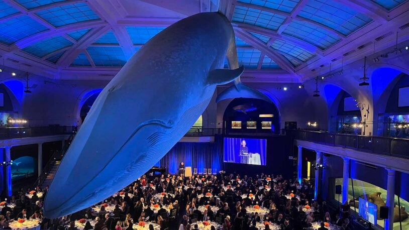 18th Double Helix Medals dinner raises more than $10 million